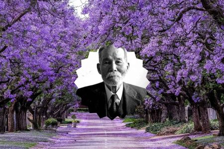 Composición de Tatsugoro Matsumoto sobre un paisaje de jacarandas en la Ciudad de México legado del jardinero japonés en el país.